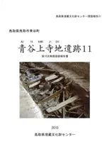 青谷上寺地遺跡11 第10次発掘調査報告書