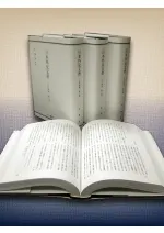 日本外交文書 日中戦争 全4冊
