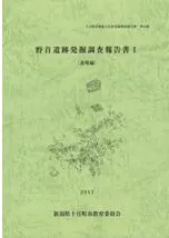 野首遺跡発掘調査報告書1 遺構編