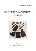 青谷上寺地遺跡出土品調査研究報告6 金属器