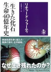 <����������>��̿40��ǯ��