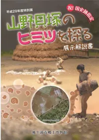 ͤΥҥߥĤõ롡Ÿ