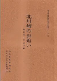 北川崎の虫追い : 越谷市大字北川崎