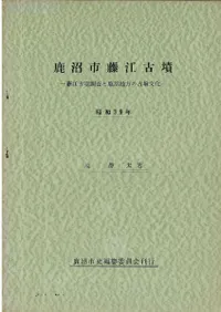 »ƣʯ : ƣʯĴȼθʯʸ