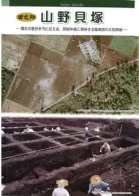 ס͡ʸηʿ򺣤롢˼Ⱦ˸¸緿