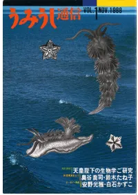 ���ߤ����̿� Vol.1-14�����å�