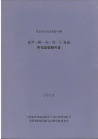 �޸�-84��40��41��50����ȯ��Ĵ������