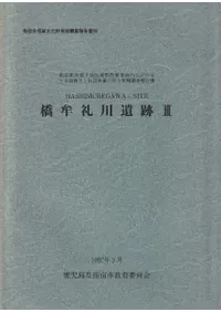 ��̶�������3