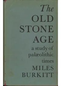 The Old Stone Age4