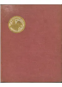    :      (٥ѻ:夫19ȾФޤ)