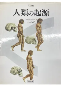 ����ε��� : �ſ��������