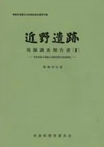 近野遺跡発掘調査報告書2