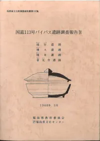 ��ƻ113��Х��ѥ�����Ĵ�����4 ���հ��� ��A���� ��B���� ����������