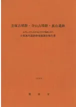 ���͸�ʯ����������ʯ����΢������