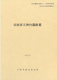 市原市天神台遺跡3
