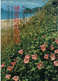 ����ϩ��ɴ���� : �����β֤����ڵ�