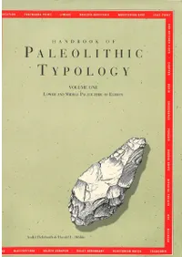 Lower and Middle Paleolithic of Europe