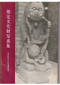 ����ʸ����̿���