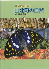 ����Į�μ���