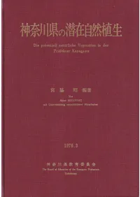 ����������߼�������