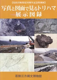 �̿��ȿ��̤Ǹ���ȥ�ϥ�