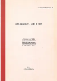 ���Ĳ����跲������1��ʯ