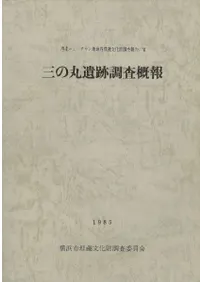 ���δݰ���Ĵ������