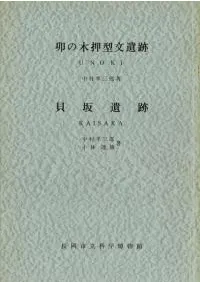 �����ڲ���ʸ���ס��������