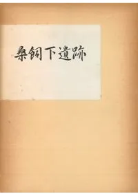 桑飼下遺跡発掘調査報告書