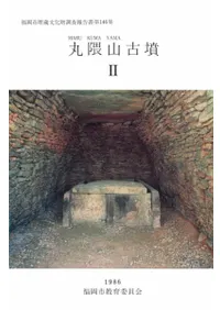 �ݷ�����ʯ2