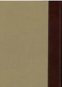 �����ʯ�θ���