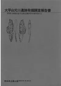 ��ʿ����3����ȯ��Ĵ������