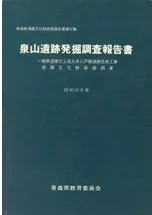 泉山遺跡発掘調査報告書