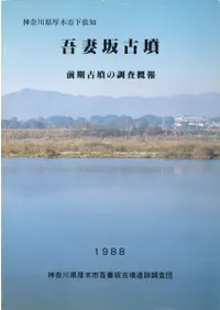 ��ʺ��ʯ��������ʯ��Ĵ������