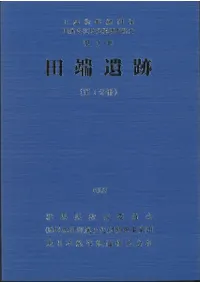 ��ü����