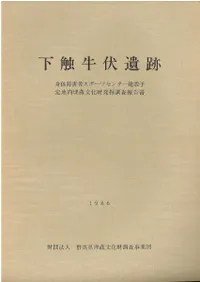 下触牛伏遺跡