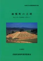 �ñ�Į�θ�ʯ���Ƕ�10ǯ��ȯ��Ĵ�������̤��