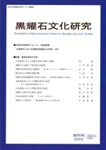 ������ʸ�����桡�ϴ���