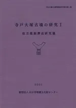 �������͸�ʯ�θ���1