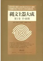 ��ʸ�ڴ���������5��·