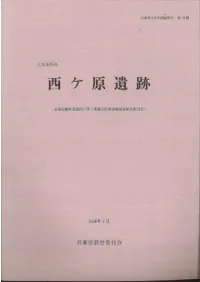 ���ڻԽ�ߡ�����������