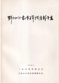 �������ʯ��Ĵ������