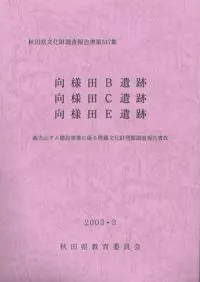 ������B���ס�������C���ס�������E���ס�