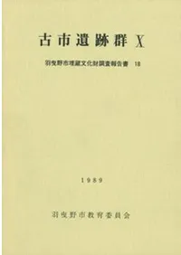 �Ż԰��׷�10