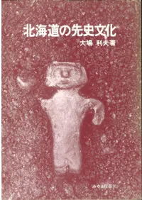 �̳�ƻ�����ʸ��