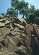 ������͸�ʯ����5������7��ȯ��Ĵ������