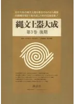 ��ʸ�ڴ���������3�������