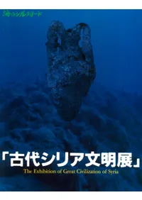 奷ꥢʸŸΥ륯