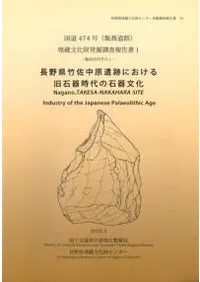 Ĺݺ渶פˤддʸ