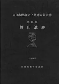 ���İ���